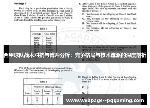西甲球队战术对抗与博弈分析：竞争格局与技术流派的深度剖析